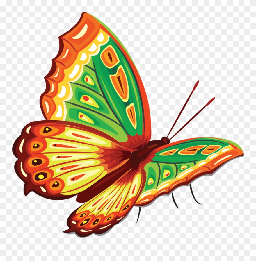 Butterfly Painting, Butterfly Clip Art, Clipart, Butterflies, - Bajar Imagenes Gratis De Mariposas - Png Download