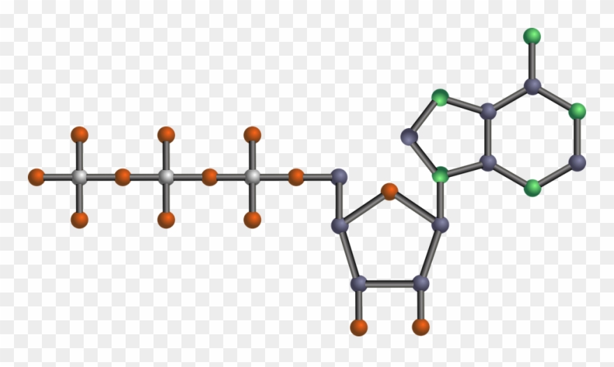 “what Is Life How Chemistry Becomes Biology” By Addy - Molecula Atp Clipart