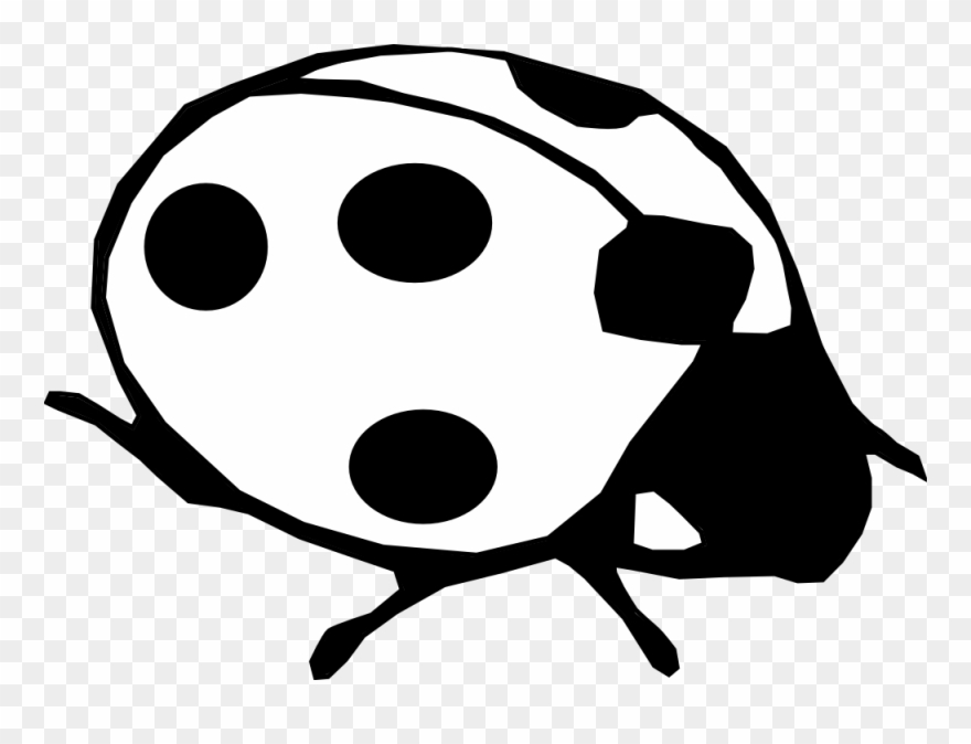 White Clipart Ladybug - Ladybird Black And White - Png Download
