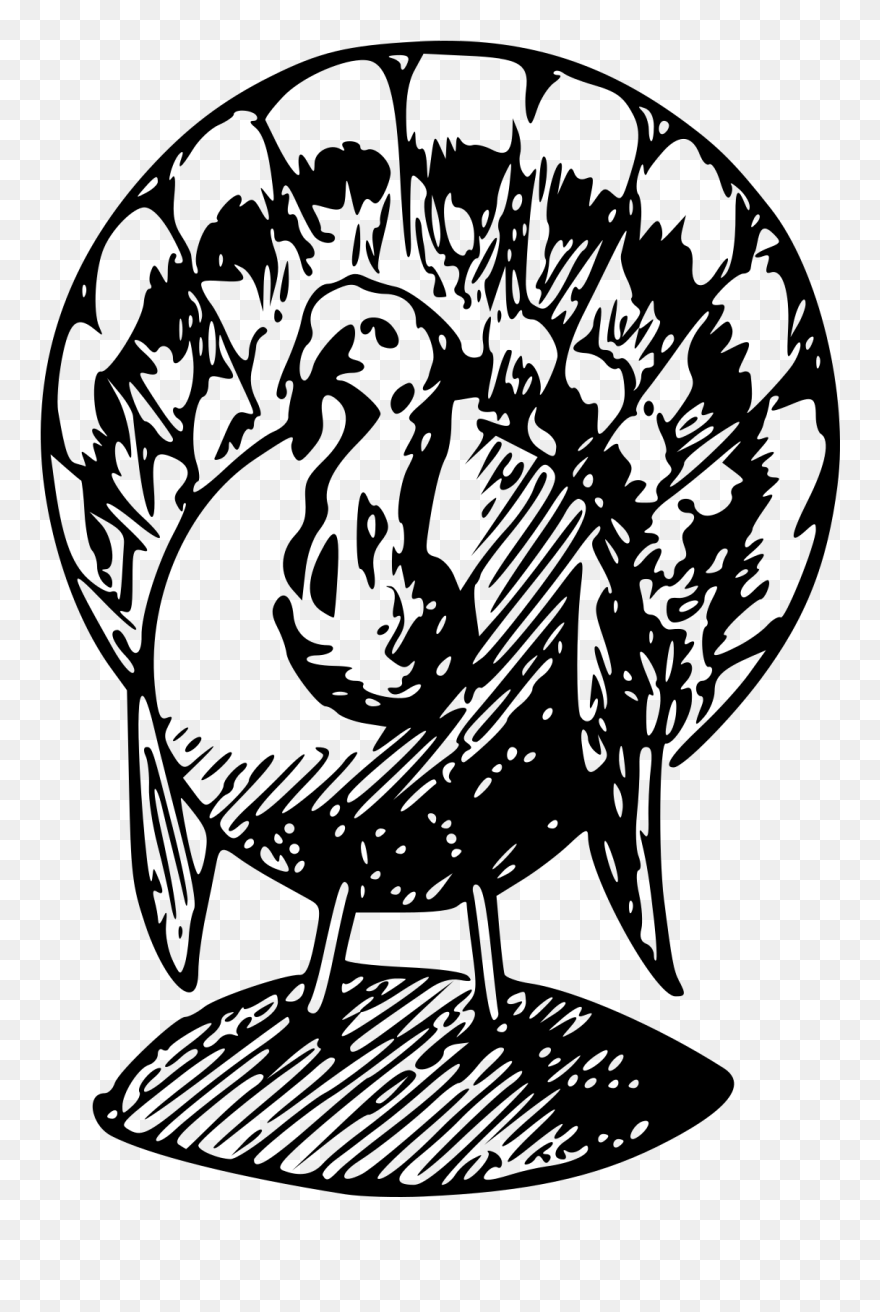 Cute Turkey Clipart Black And White - Clip Art Turkey Black And White - Png Download