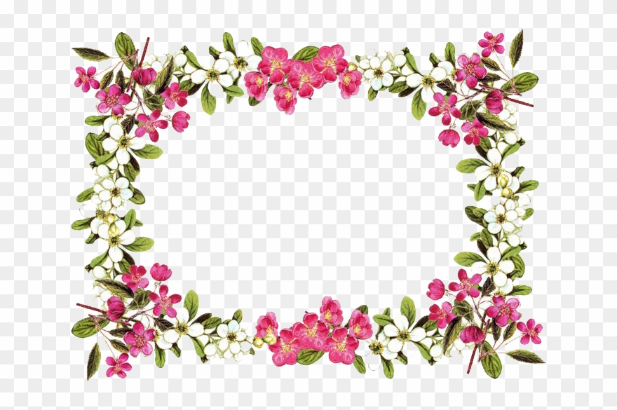 Flowers Borders Clipart High Resolution - Pink And White Flower Border - Png Download