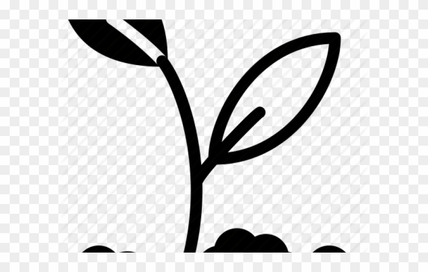 Soil Clipart Need Plant - Plant In Soil Icon - Png Download