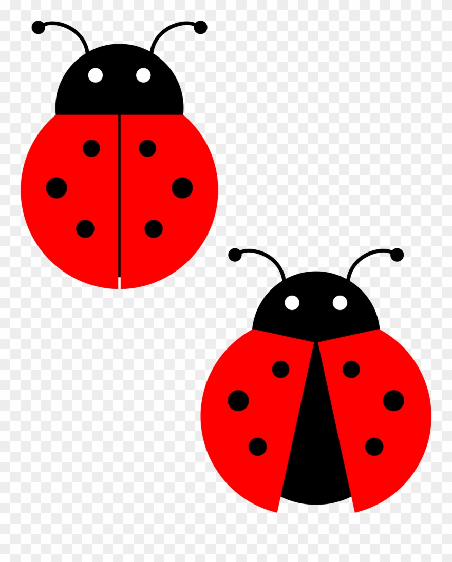 Clipart - Ladybug - Ladybug Halloween Costume Shirt For Girls - Png Download
