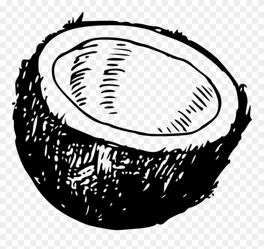 Arecaceae Coconut Computer Icons Drawing Line Art - Coconut Clip Art - Png Download