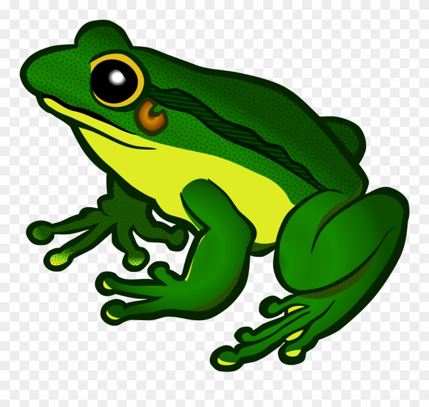 Green Frog Clipart Froglet - Frog Clipart - Png Download
