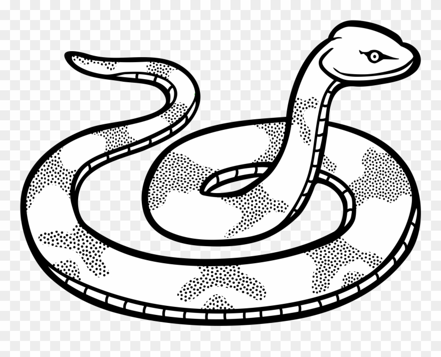 Snake Line Clipart - Clip Art Black And White Snake - Png Download