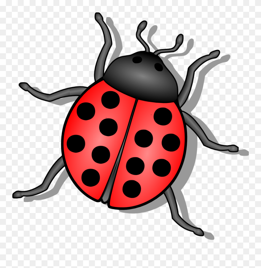 Lady Bug Clip Art At Clker Co - Lady Bug - Png Download