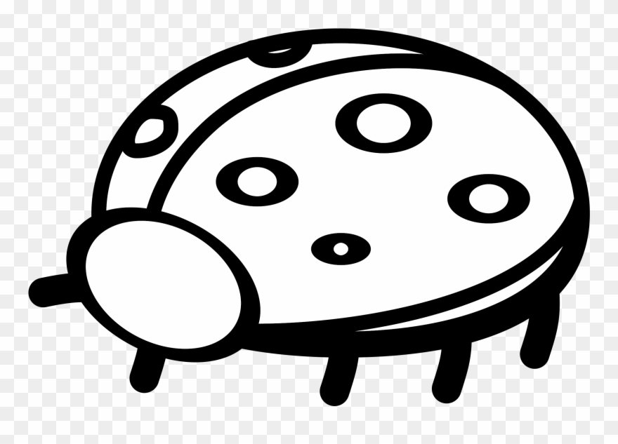 Ladybird Beetle Outline Download Presentation - Outline Of Lady Bug Clipart