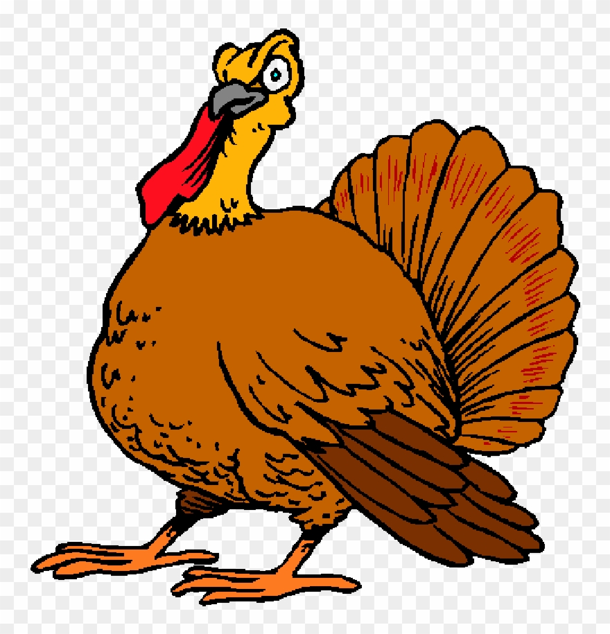 Thanksgiving Turkey - Turkey Clipart - Png Download