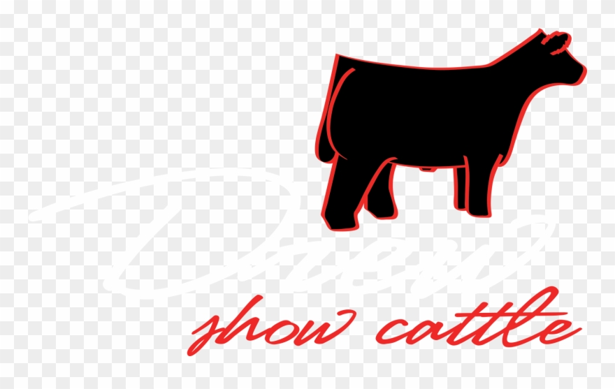 Cow Clip Art Logo - Show Cattle Logo - Png Download