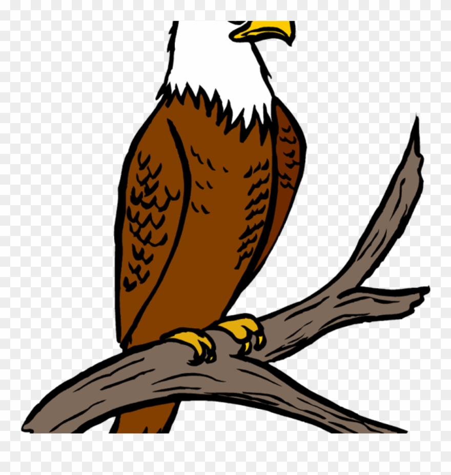 Free Eagle Clipart Eagle Feather Clipart At Getdrawings - Eagle On Tree Clipart Png Transparent Png