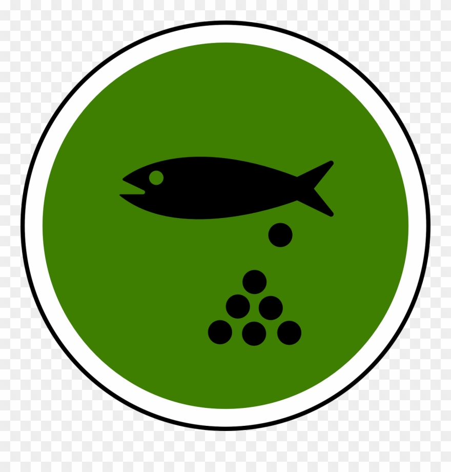 Fish Pond Png Clipart