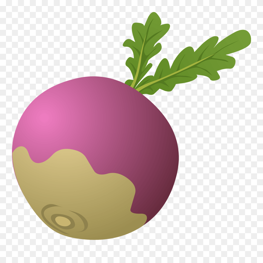 Other Popular Clip Arts - Turnip Clipart - Png Download