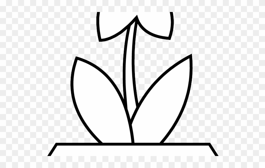 Flowerpots Clipart Different - Colouring Pictures Of A Plant - Png Download