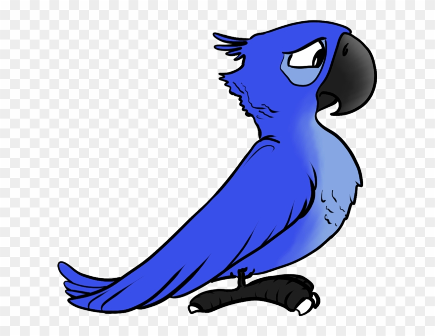 Rio Clipart Rio Bird - Angry Birds Blue Rio - Png Download