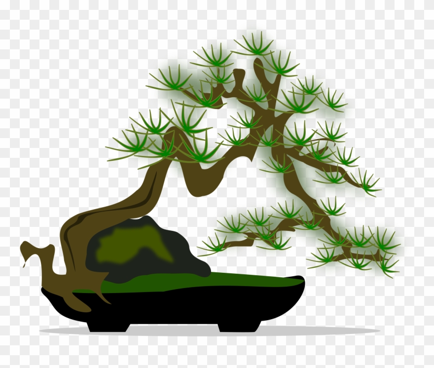 Banner Black And White Tree Silhouette Clip Art - Bonsai - Png Download