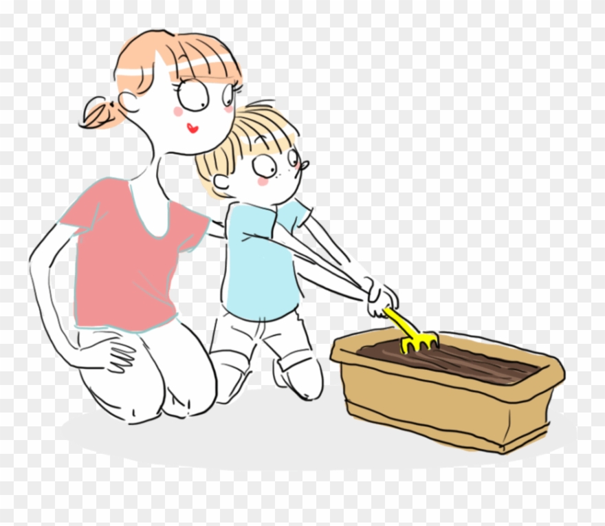 How To Grow A Step By Guide - Illustration Clipart