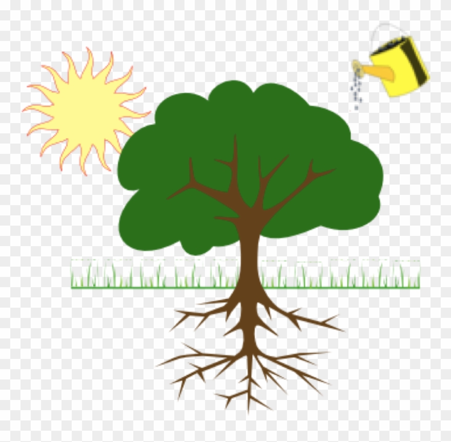 Plants Depend On Water, Soil And Sunlight To Grow Bigger - Roots Of Anger Clipart
