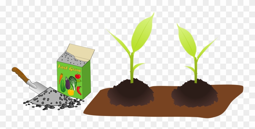 Big Image - Fertilize The Plant Clipart - Png Download