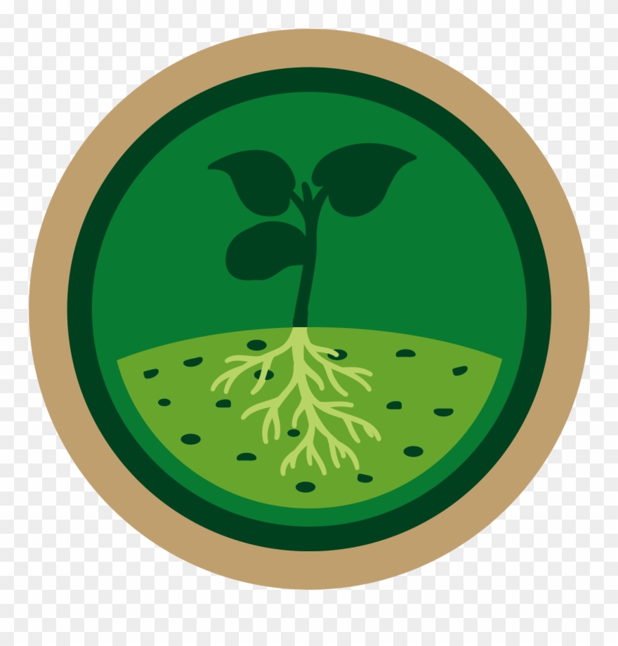 Optimal Soil Quality In Arable Crops - Ville De Saint Etienne Clipart