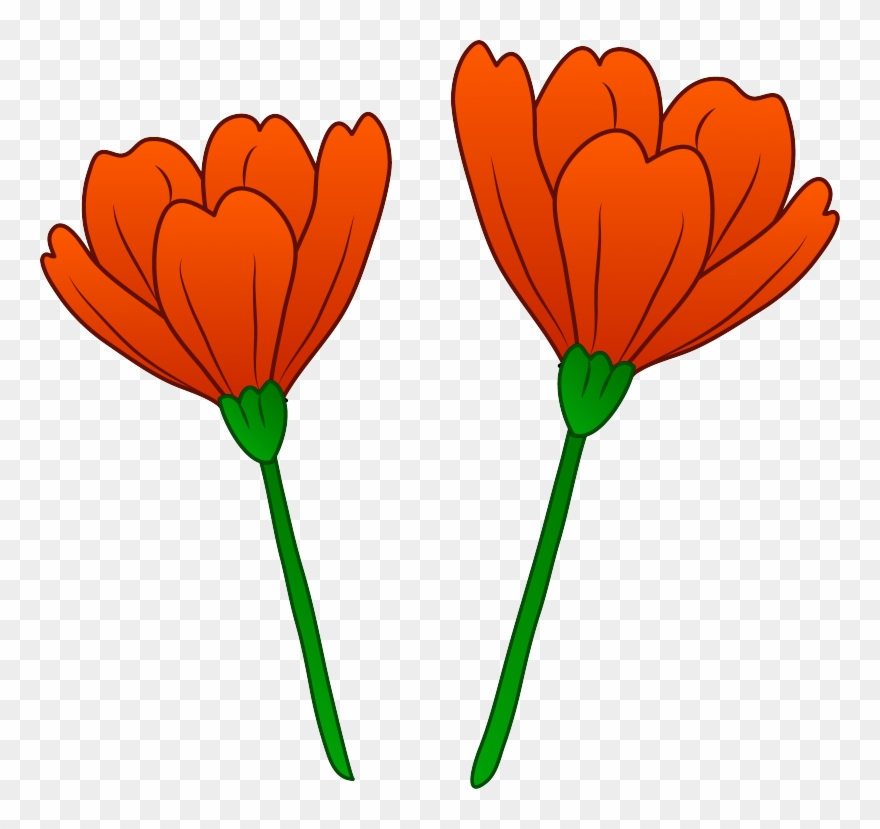 Picture California Poppy Clipart - Poppy Flower Art Transparent - Png Download