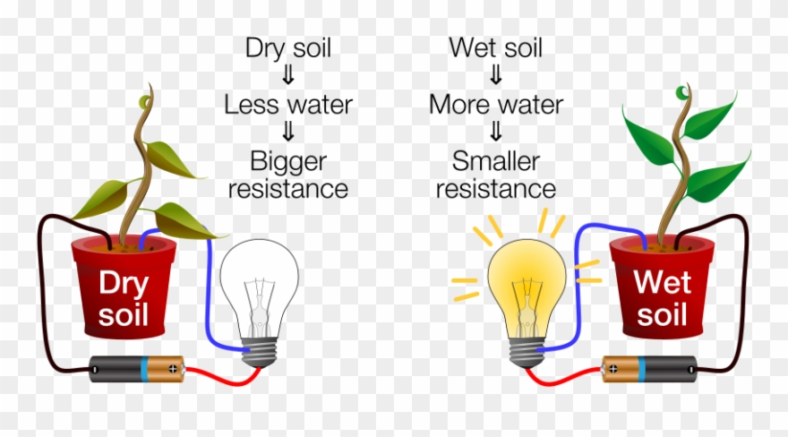 Dry-wet Soil Diagram - Getting To Know Plants Clipart