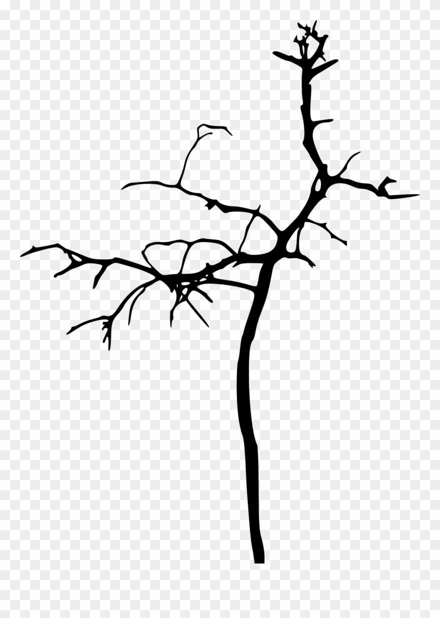 Free Download - Tree Clipart