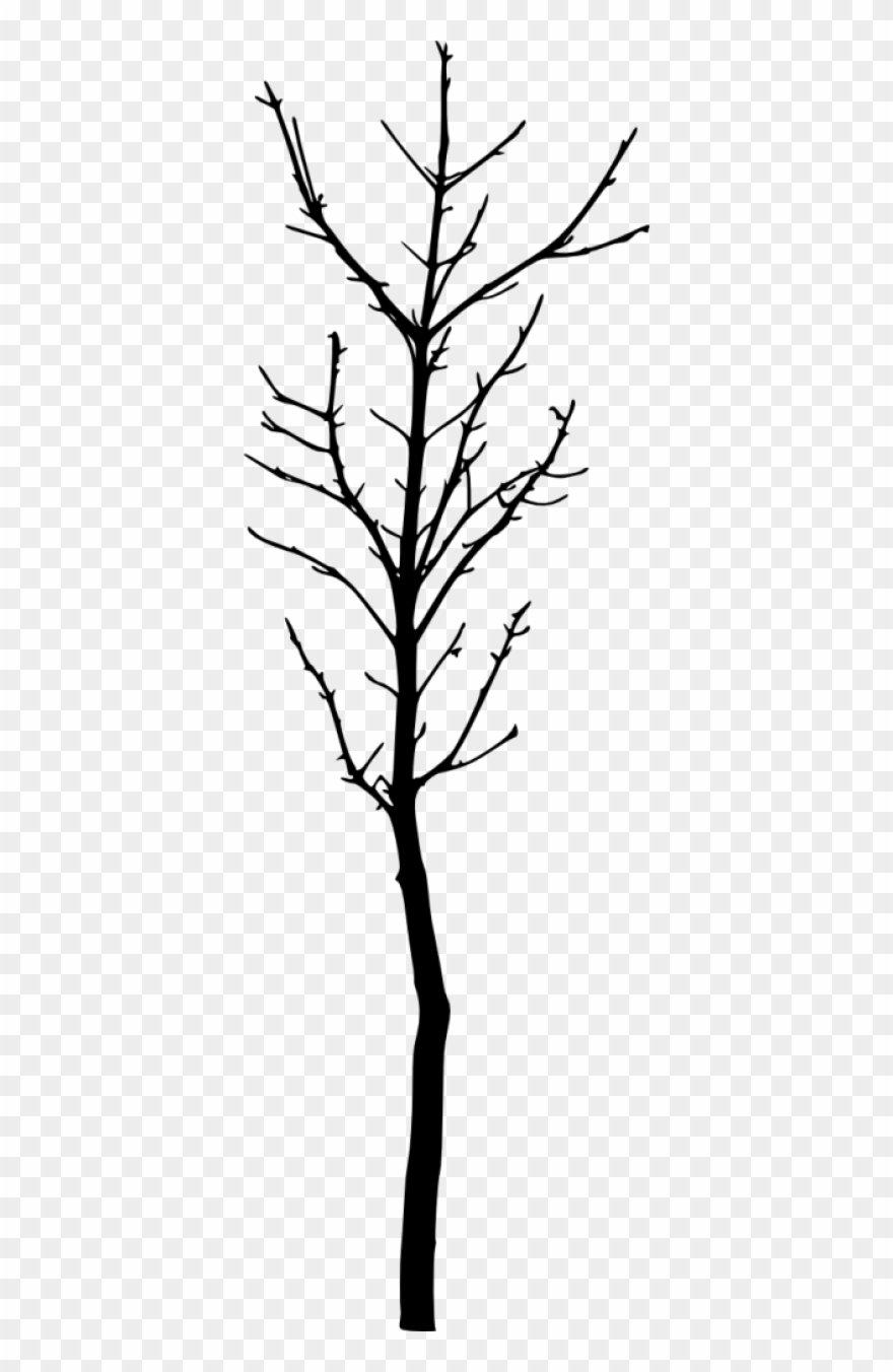 Bare Tree Silhouette - Twig Clipart