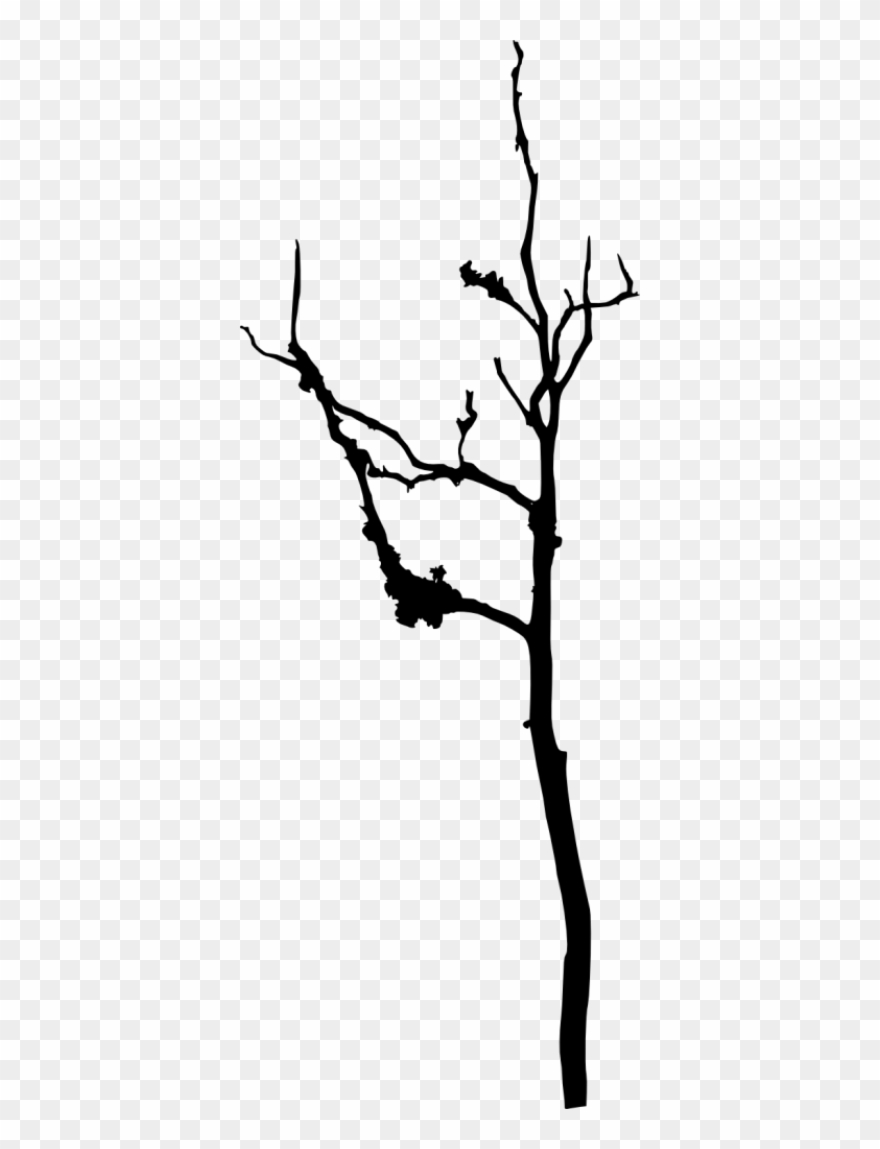 Bare Tree Silhouette - Silhouette Clipart