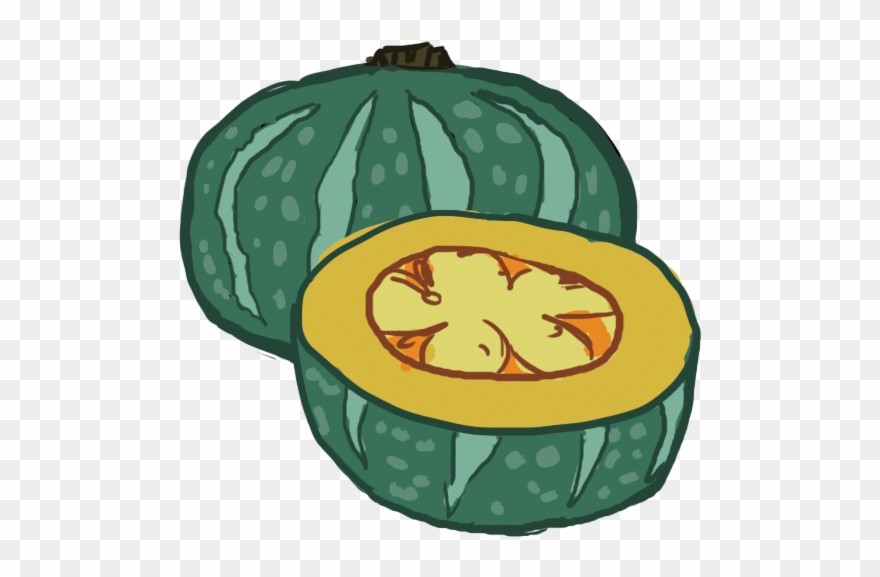 Also Know As The “japanese Pumpkin” This Squash Is - Pumpkin Clipart