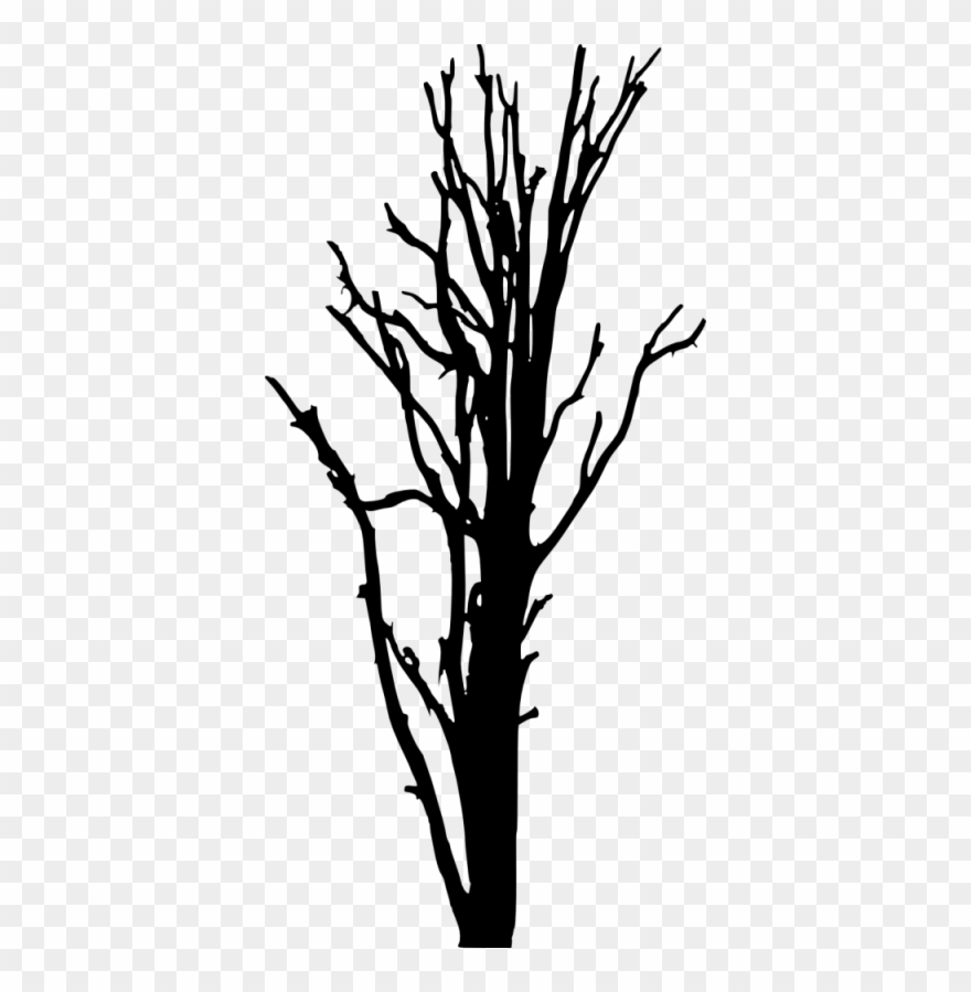 Dead Tree Silhouette - Clip Art - Png Download