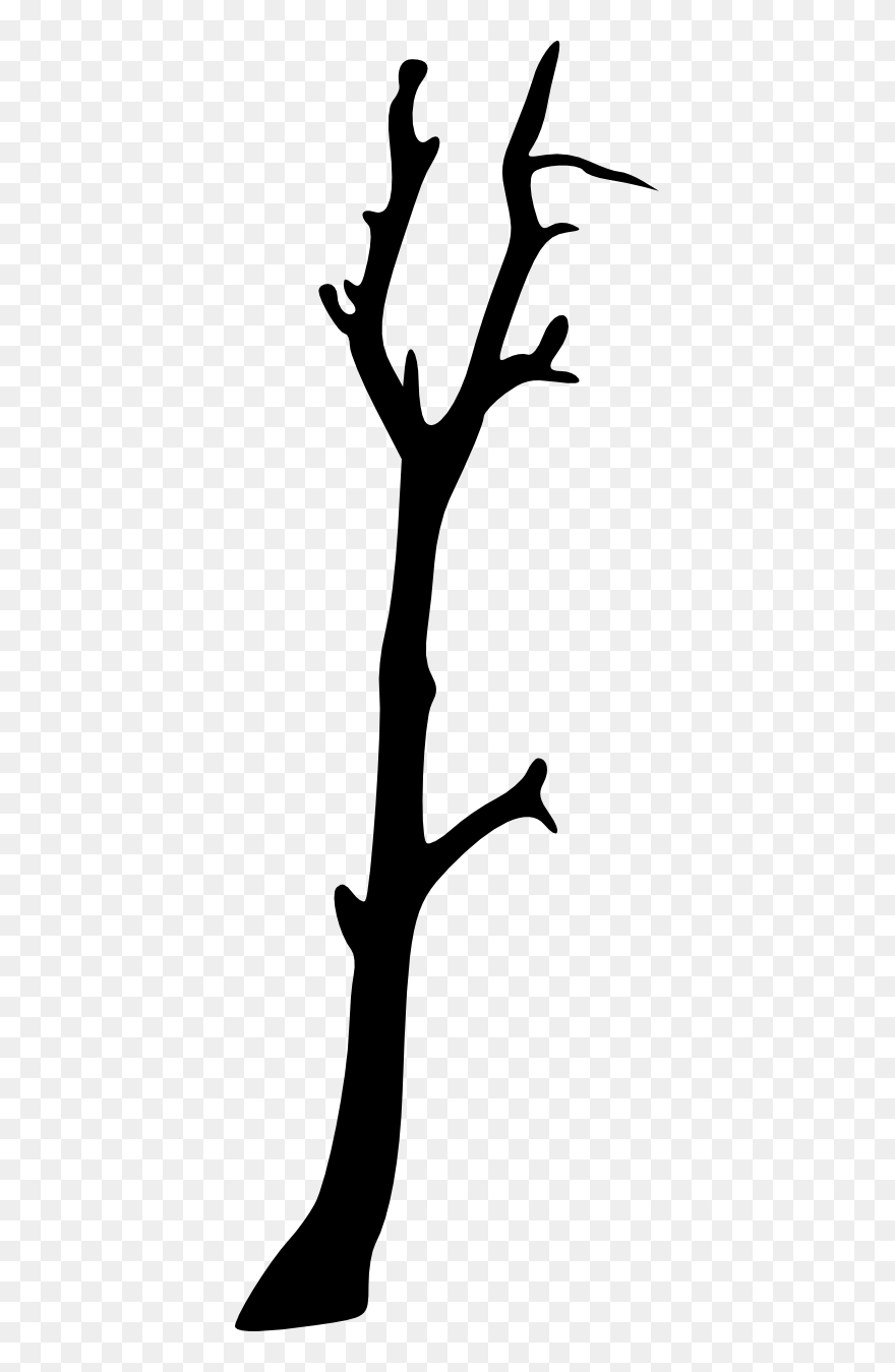 417 × 1269 Px - Tree Clipart