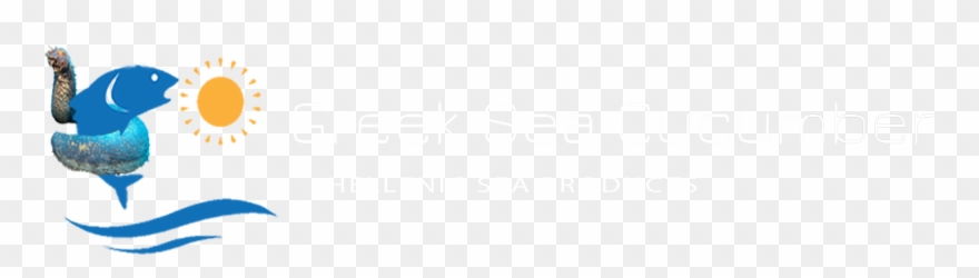 Wrapping Paper Clipart