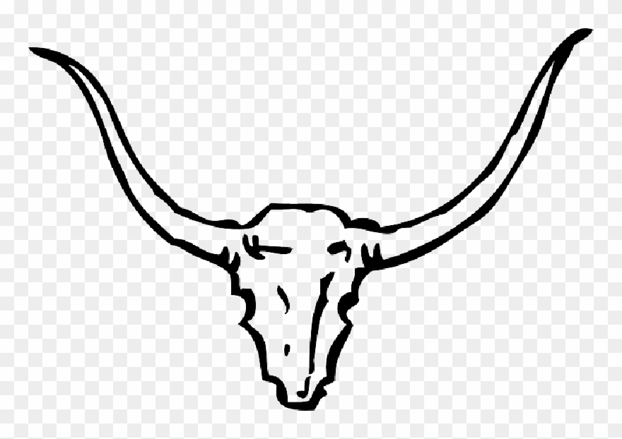 Cowboy Hat Clipart - Bull Head Clipart Black And White - Png Download