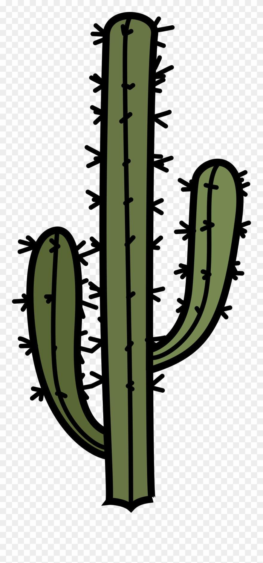 Big Image - Tall Cactus Clip Art - Png Download