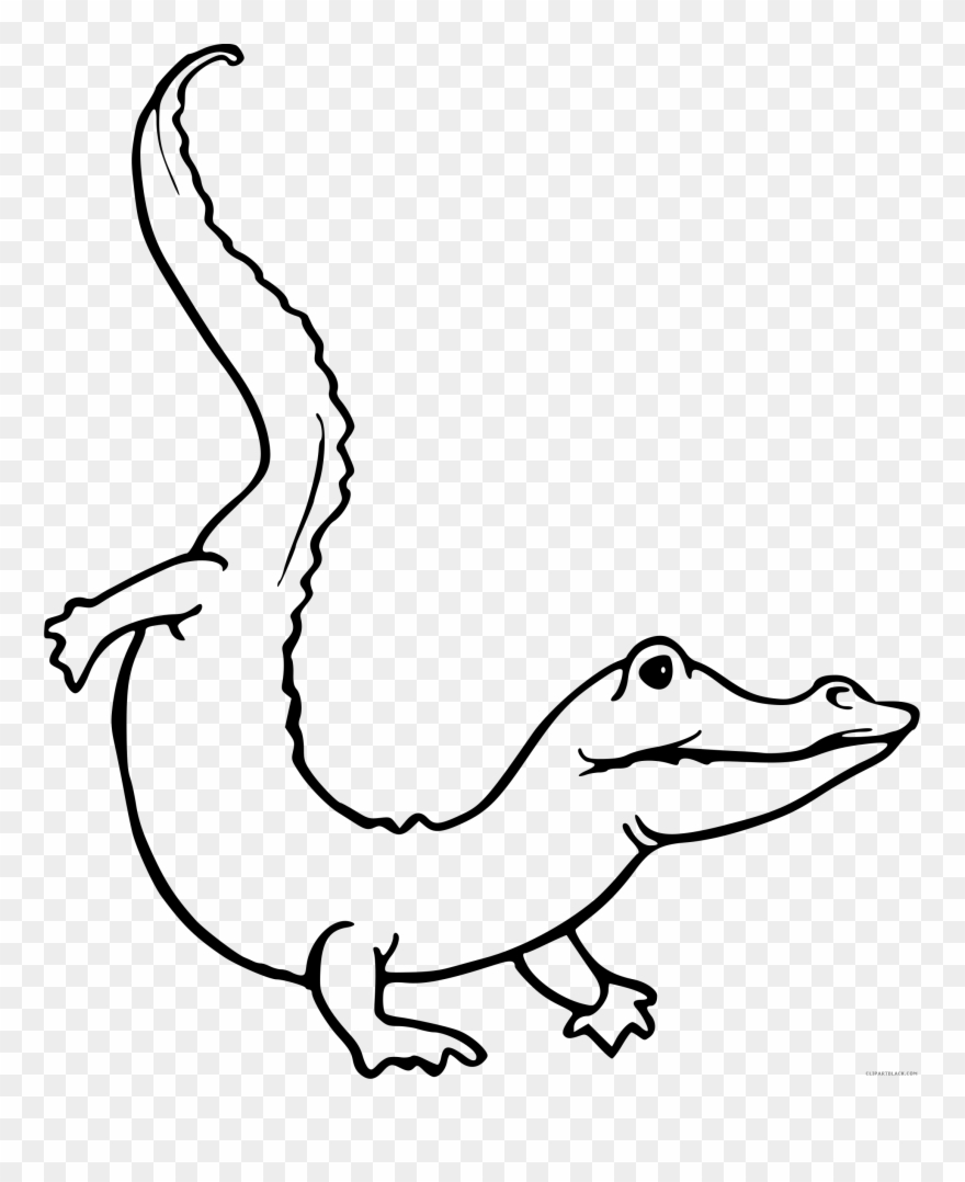 Outline At Getdrawings Com - Gambar Sketsa Hewan Reptil Clipart