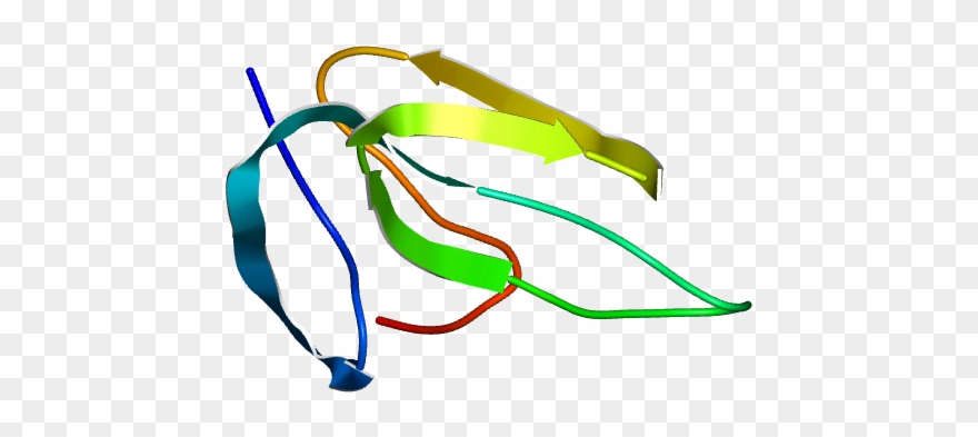 Molmil Generated Image Of 1abx - Graphic Design Clipart