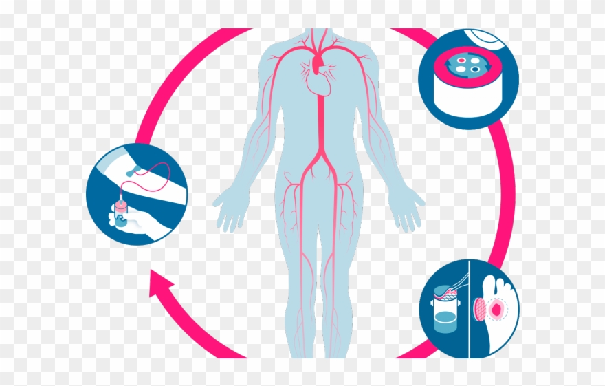 Treatment Clipart Wound Healing - Wound - Png Download