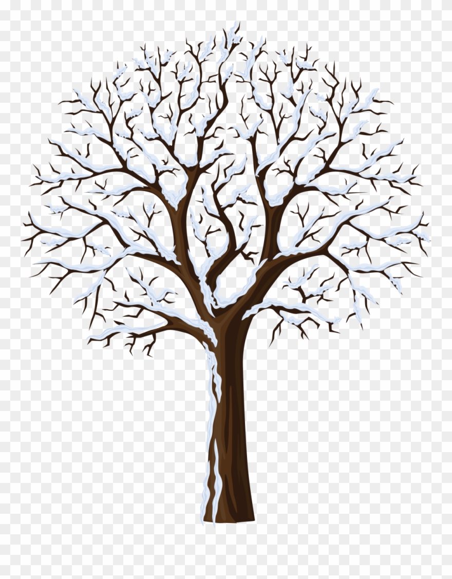 January Clipart Snowtree - Bare Tree Transparent Background - Png Download