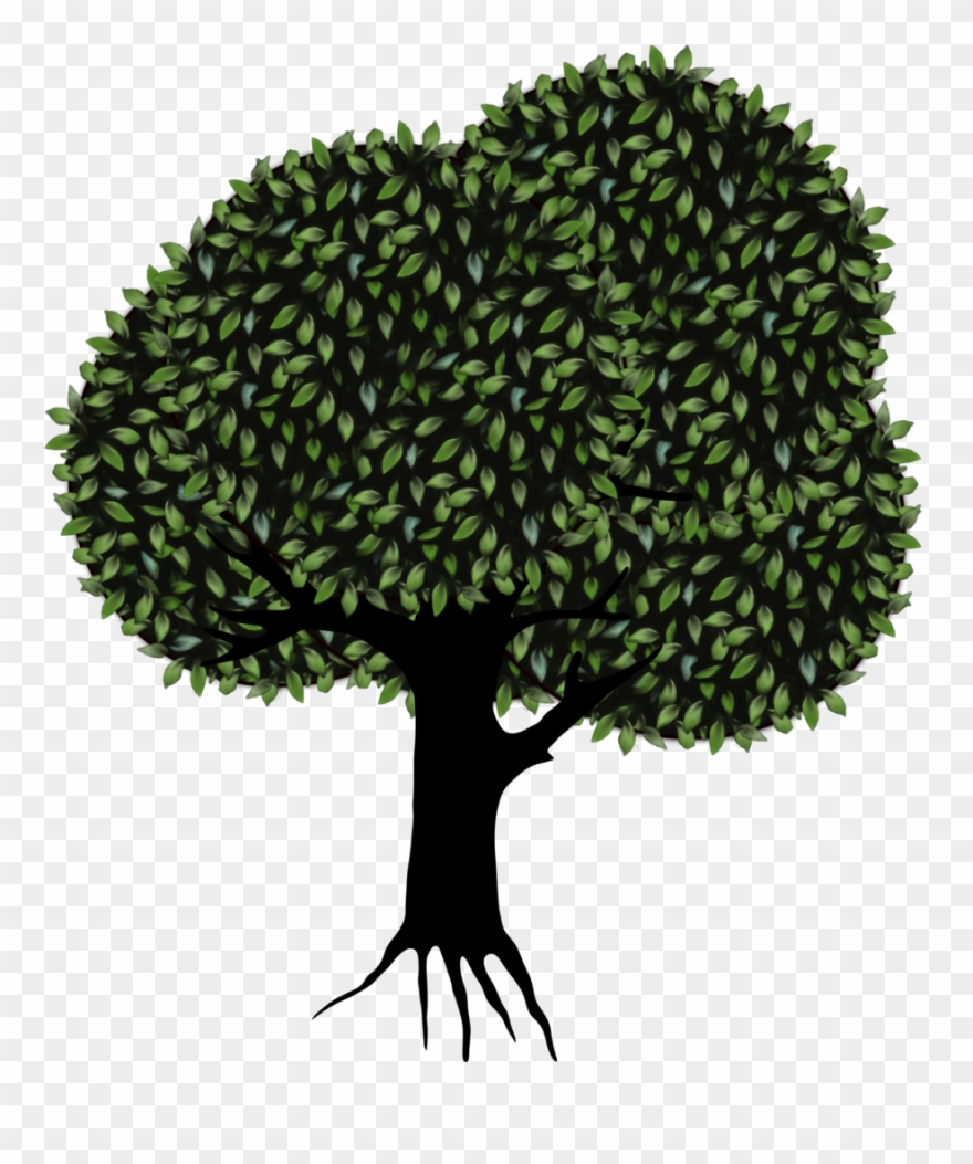 Cell Theory Has Roots In Ancient Indian Texts - Tree Png Clipart