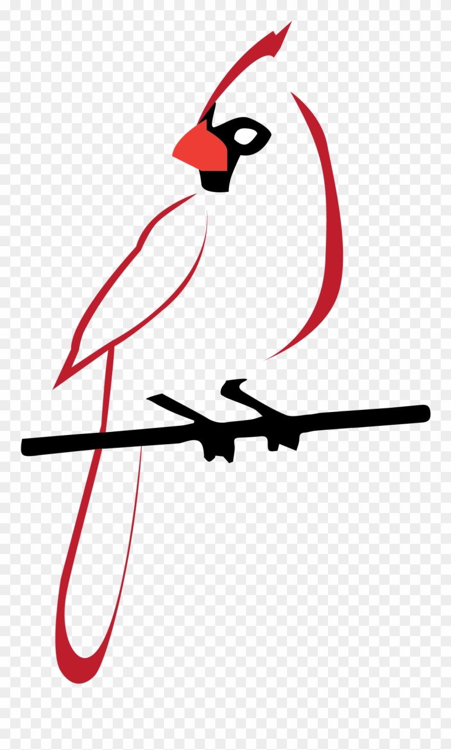 Background Image - Parrot Clipart