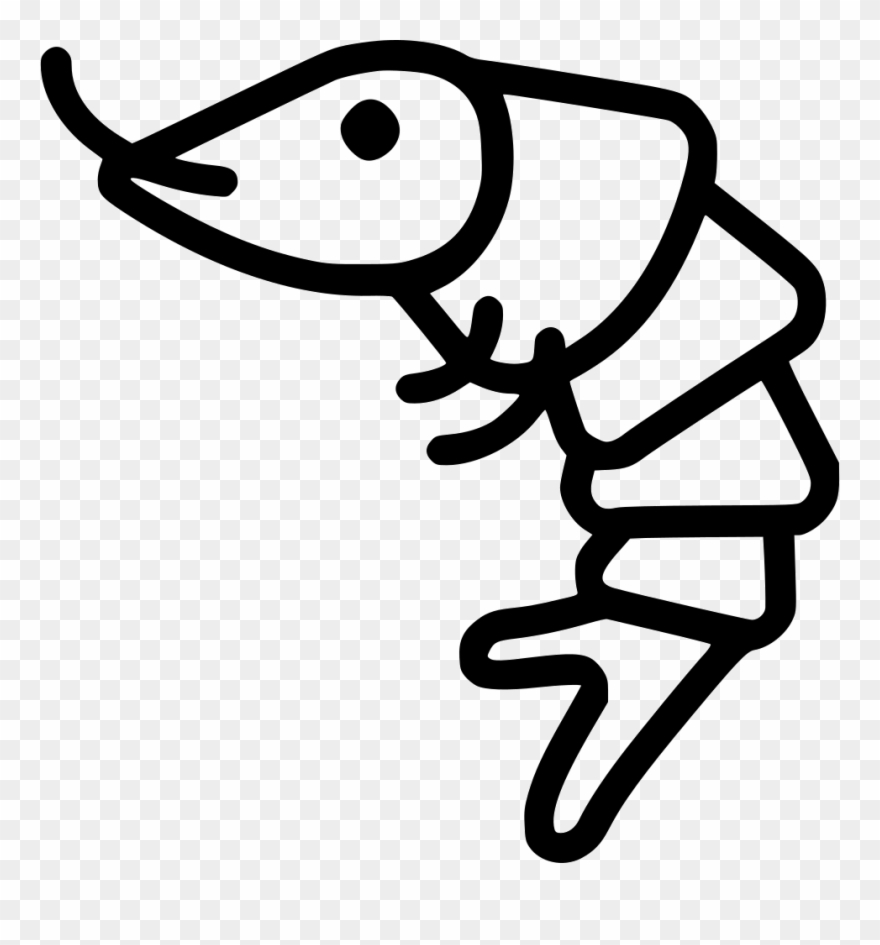 Shrimp Comments - Shrimps Food Clipart Black And White - Png Download