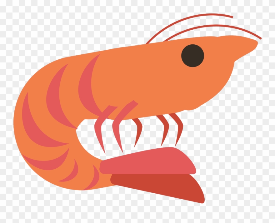 Cartoon Clip Art Transprent Png Free Download - Shrimp Cartoon Png Transparent Png