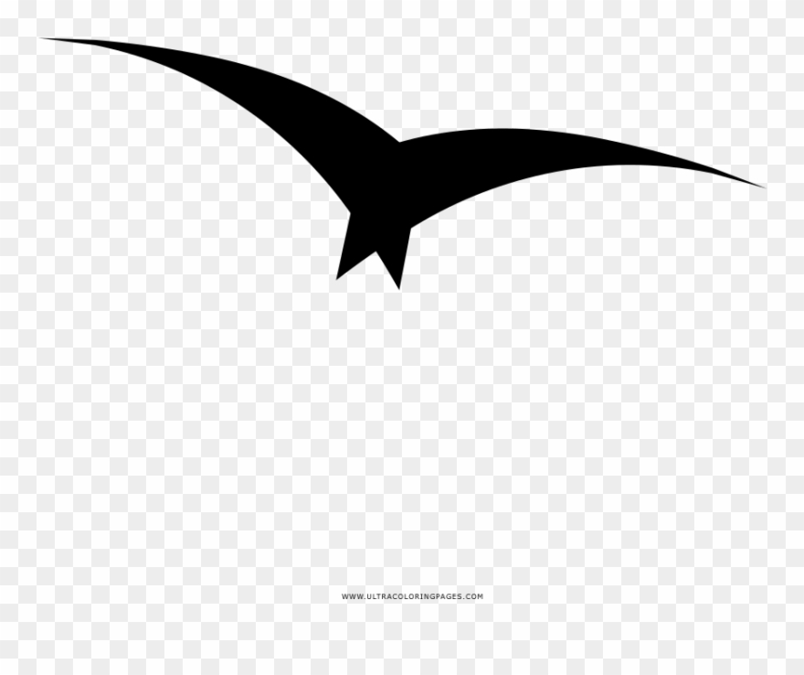 Png Free Stock Gulls Coloring Book Sea Animals Kids - Gaivota Desenho Png Clipart