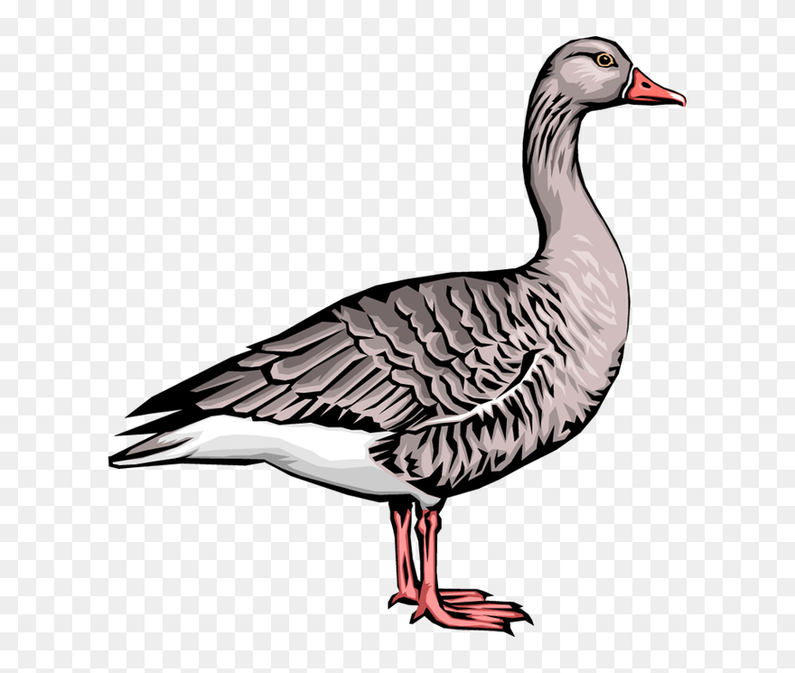 Quality Clip Art Of - Clip Art - Png Download