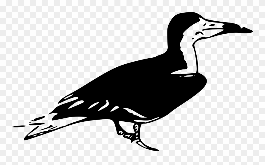 Big Image - Bird Clip Art - Png Download