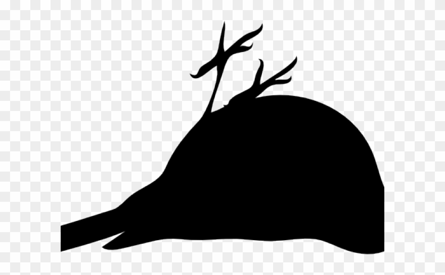 Dead Clipart Dead Goose - Dead Bird Clipart Png Transparent Png