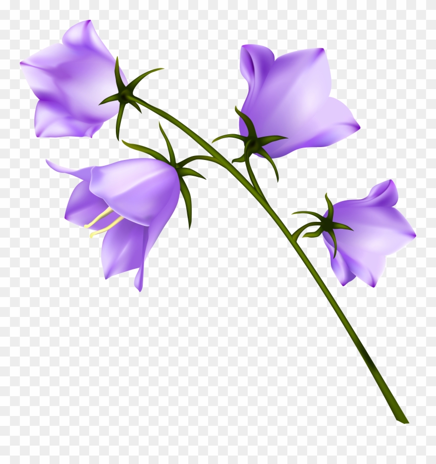 Purple Clip Art - Png Download