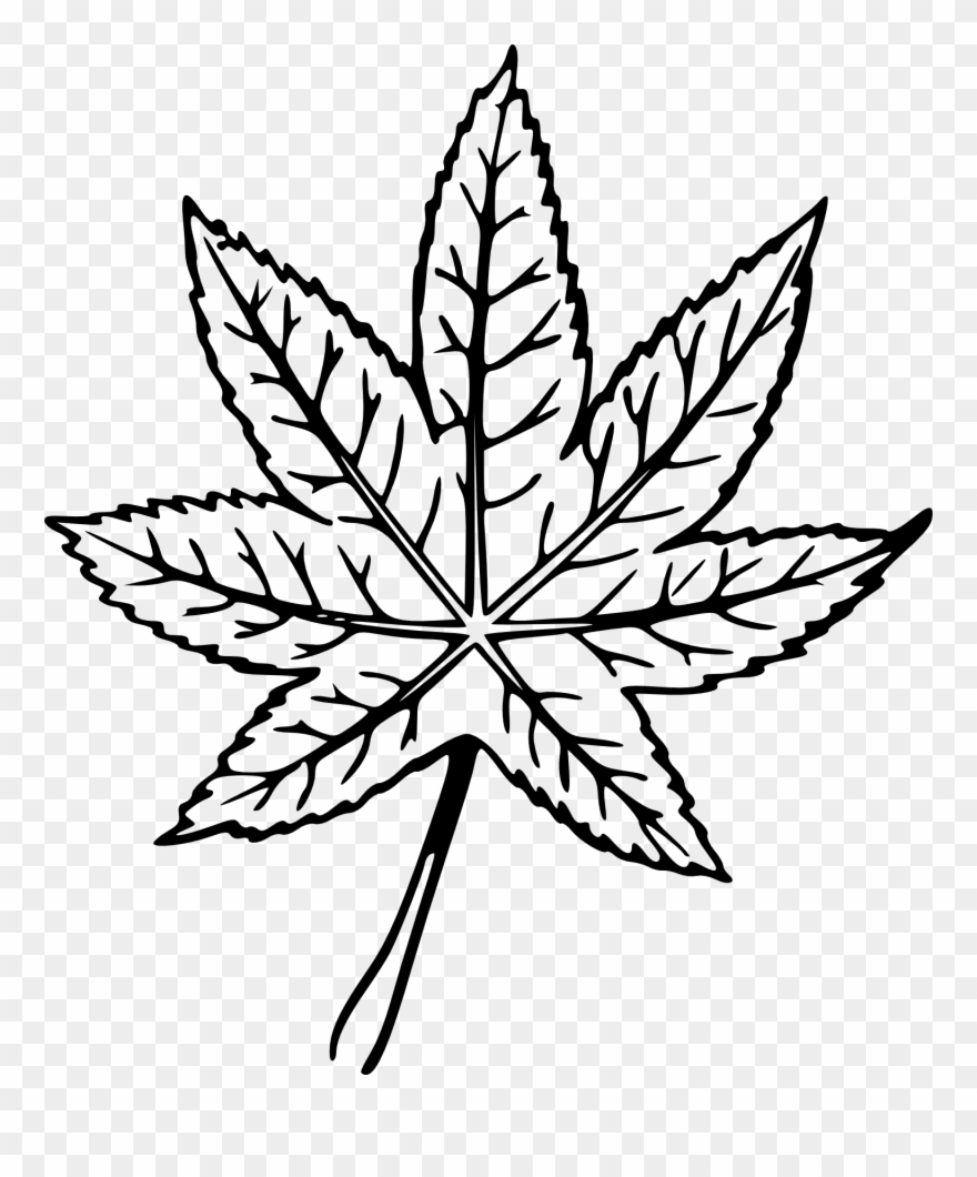 Mint Leaf Drawing - Leaf Hand Drawn Png Clipart