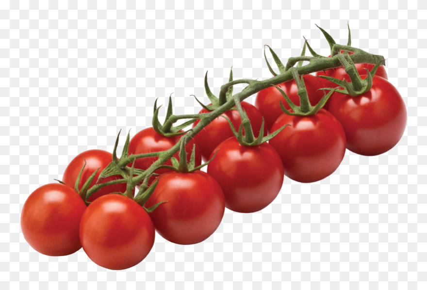 Tomato Cherry On Vine Clipart